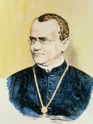 Gregor Mendel