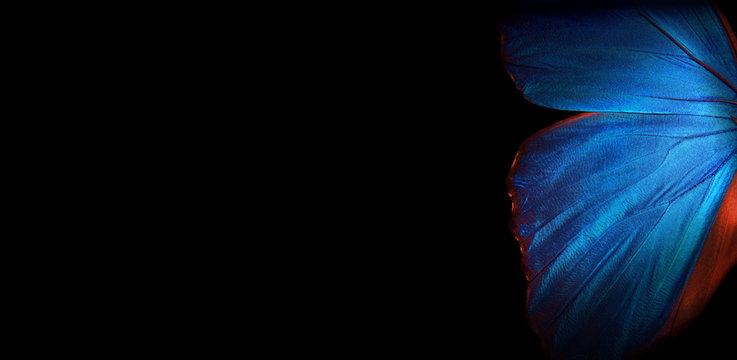 The Impact of the Butterfly Effect
