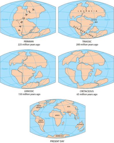 Alfred Wegener continental drift