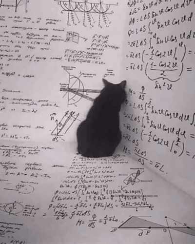 Schr&ouml;dinger's cat thought experiment