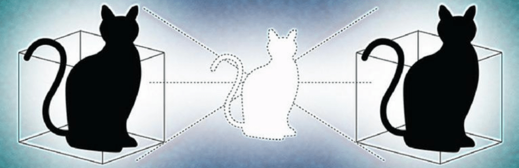 Schrödinger's cat thought experiment