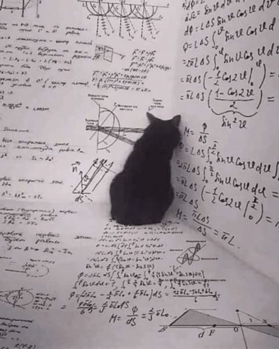 Schrödinger's cat thought experiment